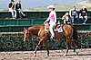 MEC06_0076.jpg