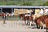 MEC06_0081.jpg