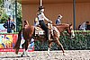 MEC06_0125.jpg