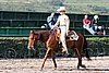MEC06_0136.jpg