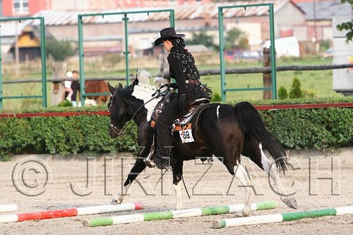 MEC06_0890.jpg