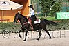MEC06_0877.jpg