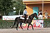 MEC06_0878.jpg