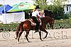 MEC06_0910.jpg