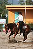 MEC06_0912.jpg