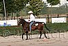 MEC06_0926.jpg