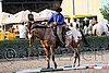 MEC06_0963.jpg