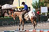 MEC06_0964.jpg