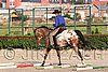 MEC06_0966.jpg