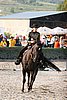 MEC06_0984.jpg