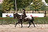 MEC06_0986.jpg