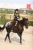 MEC06_0987.jpg
