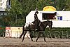 MEC06_0989.jpg