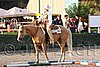 MEC06_1003.jpg