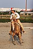 MEC06_1010.jpg