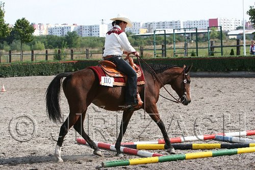 MEC06_0263.jpg