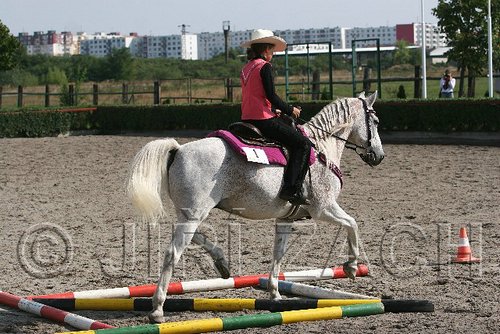 MEC06_0278.jpg