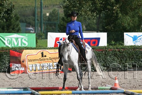 MEC06_0284.jpg