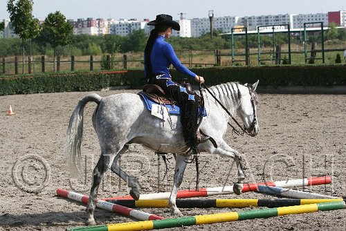 MEC06_0290.jpg