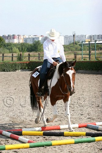 MEC06_0304.jpg