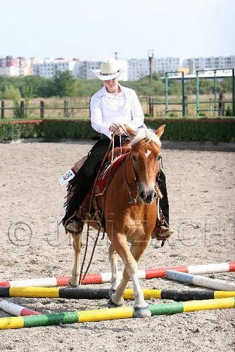 MEC06_0321.jpg