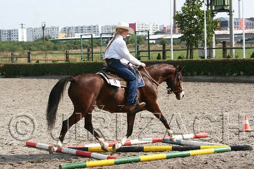 MEC06_0338.jpg