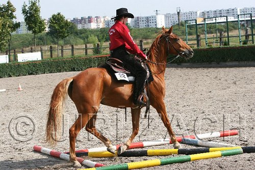MEC06_0355.jpg
