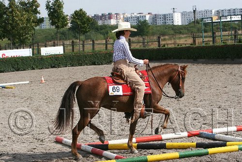 MEC06_0370.jpg