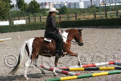 MEC06_0385.jpg