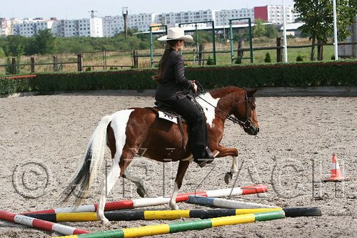 MEC06_0386.jpg