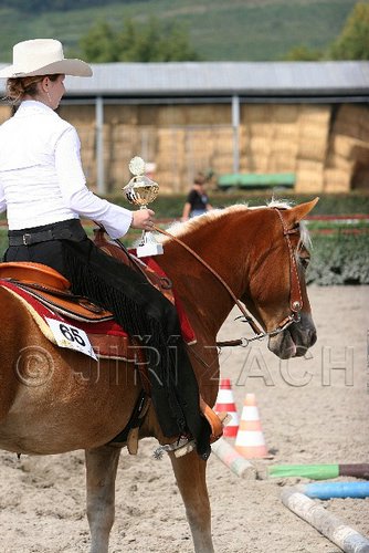 MEC06_0406.jpg