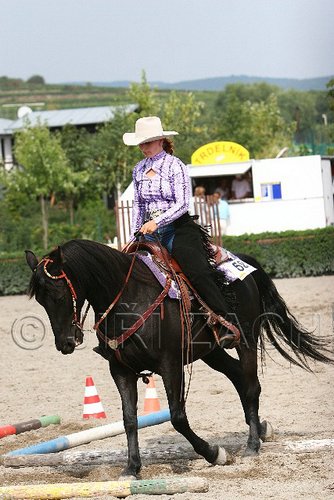 MEC06_0496.jpg