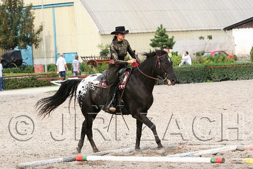 MEC06_0522.jpg