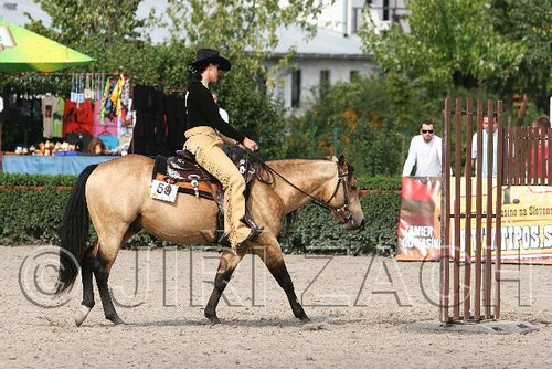 MEC06_0655.jpg