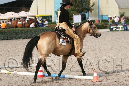 MEC06_0663.jpg