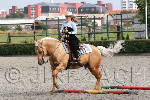 MEC06_0681.jpg