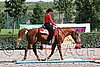 MEC06_0241.jpg