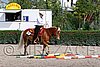 MEC06_0315.jpg