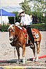 MEC06_0323.jpg
