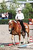 MEC06_0325.jpg