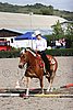 MEC06_0326.jpg
