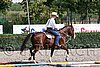 MEC06_0335.jpg