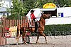 MEC06_0346.jpg