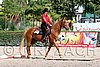 MEC06_0350.jpg