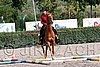MEC06_0353.jpg