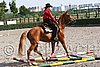 MEC06_0355.jpg