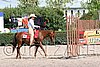 MEC06_0359.jpg