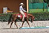 MEC06_0365.jpg