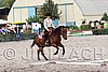 MEC06_0435.jpg