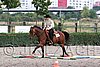 MEC06_0445.jpg